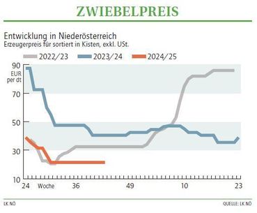 Grafik Zwiebelpreis 43_2024.jpg © LK NÖ Grafik Zwiebelpreis 43_2024.jpg © LK NÖ