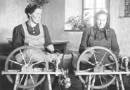 spinnen.jpg © Archiv spinnen.jpg © Archiv