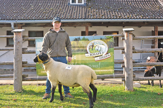 Auftriebsrekord bei Versteigerung in Maishofen	.jpg