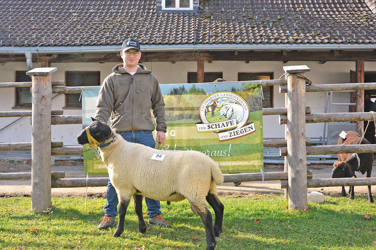 Auftriebsrekord bei Versteigerung in Maishofen	.jpg