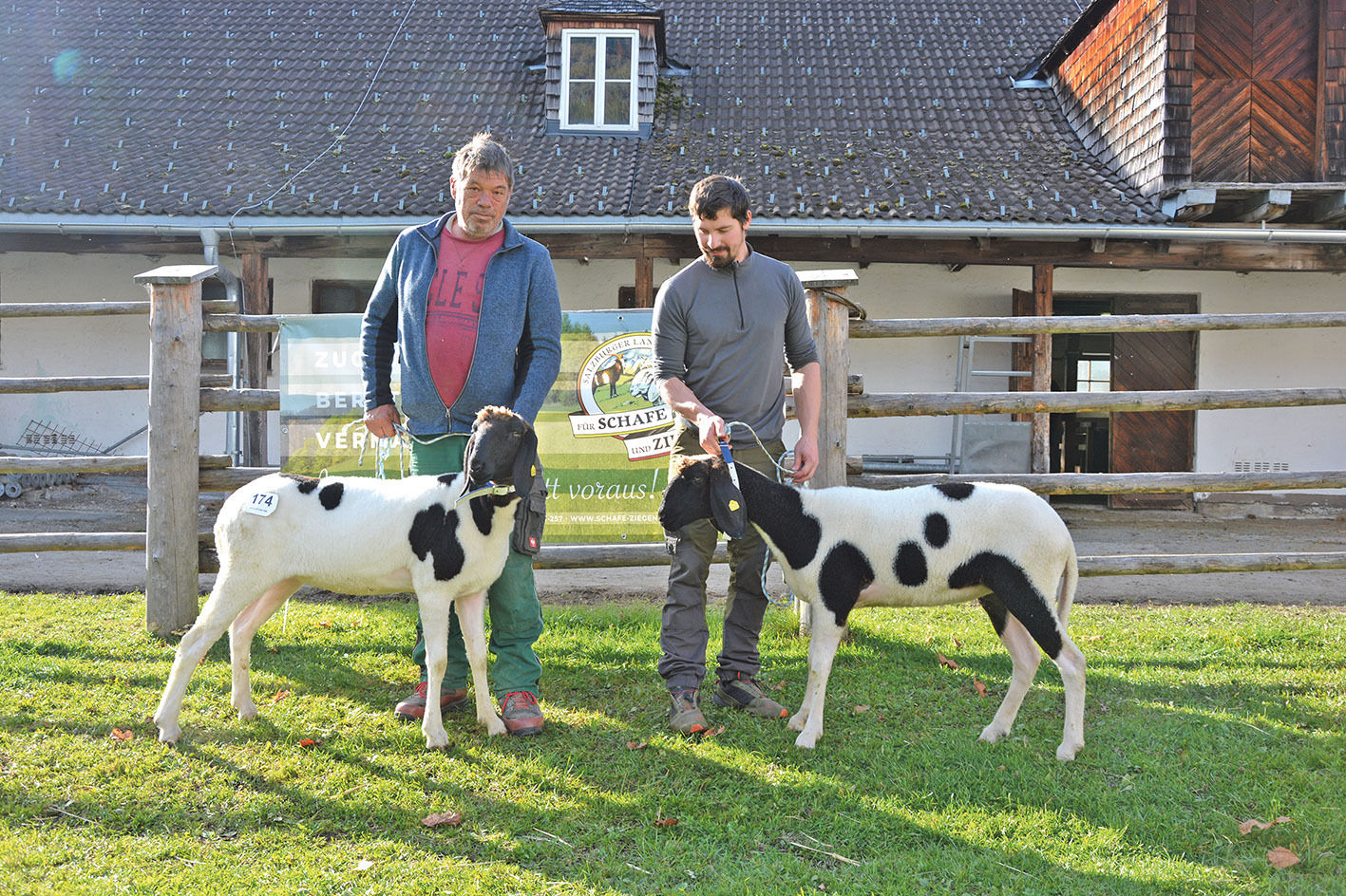 Auftriebsrekord bei Versteigerung in Maishofen	.jpg © Salzburger Landesverband für Schafe und Ziegen Auftriebsrekord bei Versteigerung in Maishofen	.jpg © Salzburger Landesverband für Schafe und Ziegen