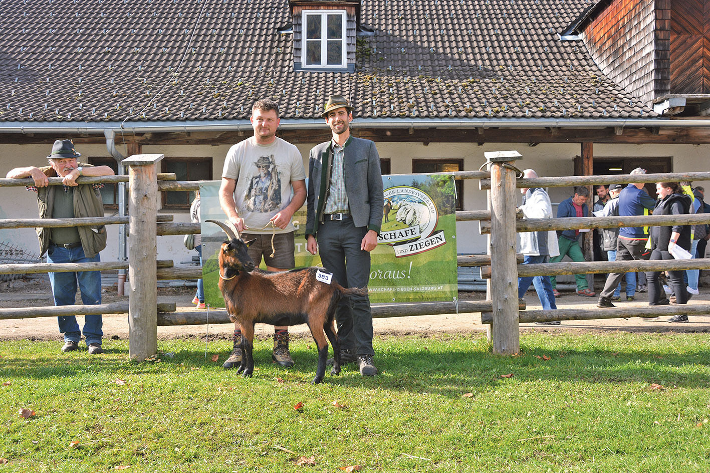 Auftriebsrekord bei Versteigerung in Maishofen	.jpg © Salzburger Landesverband für Schafe und Ziegen