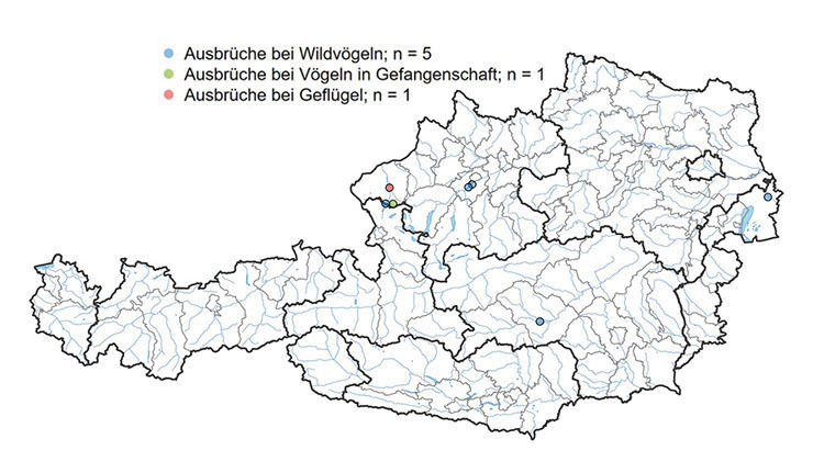 Geflügelpest 2024.jpg © Gemeldete Ausbrüche, seit 1. September 2024