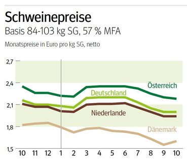 NÖ: Ausblick auf den Schweinemarkt im November