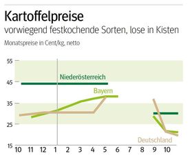 NÖ: Ausblick auf den Kartoffelmarkt im November