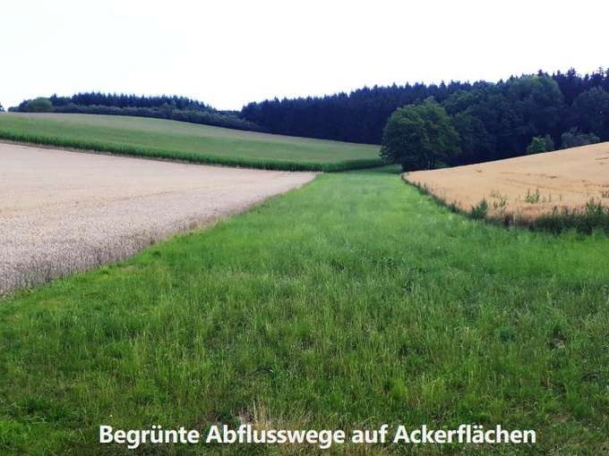 Retentionsfläche.jpg © Reinhard Födermayr Retentionsfläche.jpg © Reinhard Födermayr