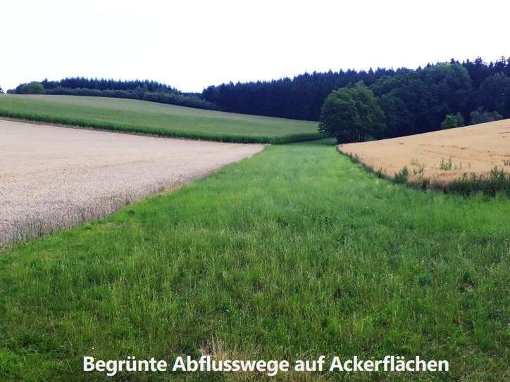 Retentionsfläche.jpg © Reinhard Födermayr Retentionsfläche.jpg © Reinhard Födermayr