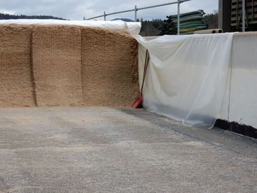 Saubere Futterentnahme.jpg © Archiv Saubere Futterentnahme.jpg © Archiv