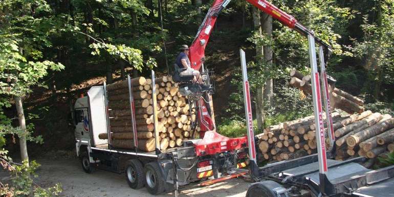 Holzarbeit.jpg © Paula Pöchlauer-Kozel/LK Niederösterreich Holzarbeit.jpg © Paula Pöchlauer-Kozel/LK Niederösterreich