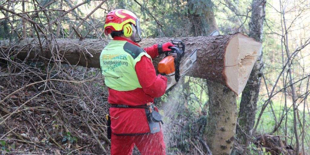 Holzarbeit.jpg © Paula Pöchlauer-Kozel/LK Niederösterreich