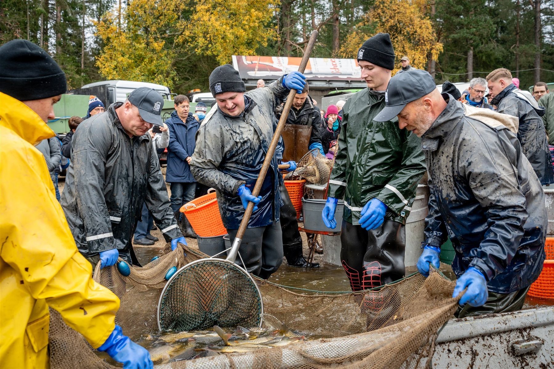 © Georg Pomaßl/LK Niederösterreich