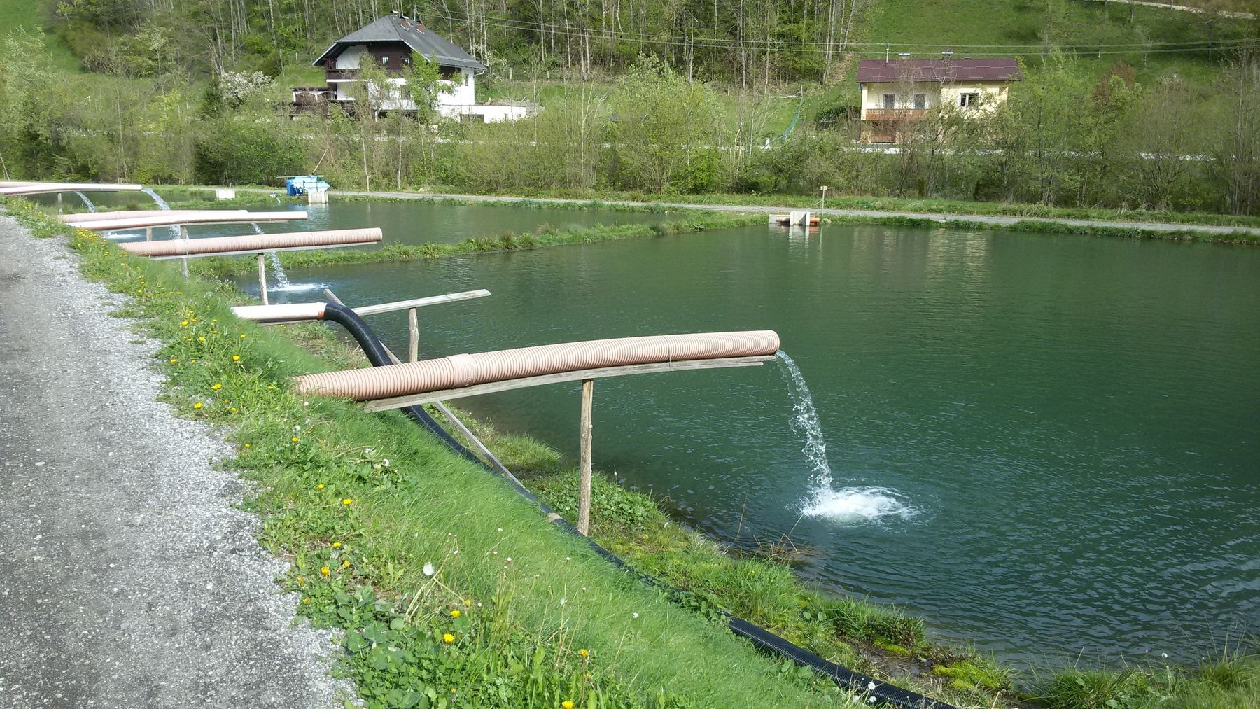 Jenschatz 2016 (c) Gerda Weber LK Ktn (15).jpg © Gerda Weber/LK Kärnten Jenschatz 2016 (c) Gerda Weber LK Ktn (15).jpg © Gerda Weber/LK Kärnten