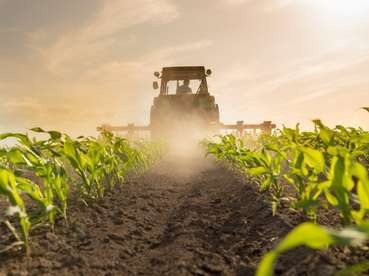 Traktor im Feld © AdobeStock (Mittel).jpg © Adobe Stock