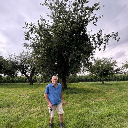 Josef Dieplinger vor dem  Lütticher Rambour -Apfelbaum.jpg © BWSB Josef Dieplinger vor dem  Lütticher Rambour -Apfelbaum.jpg © BWSB
