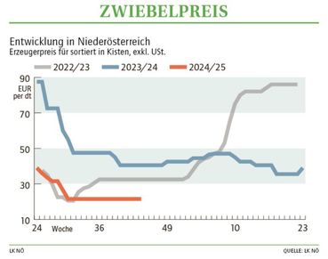 Grafik Zwiebelpreis 44_2024.jpg © LK NÖ Grafik Zwiebelpreis 44_2024.jpg © LK NÖ
