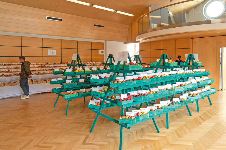 Ein Jahrhundert Obst- und  Gartenbau gebührend gefeiert.jpg © Djuhic Ein Jahrhundert Obst- und  Gartenbau gebührend gefeiert.jpg © Djuhic