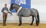 sb44_NO BS MU Gruppe 2 1. RS 59_be.jpg © Archiv