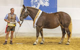 sb44_NOBS Gruppe 3 1. RS KNr 19.jpg © Archiv