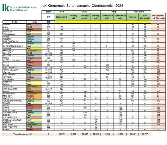Körnermais OÖ 2024.jpg © LK OÖ/Grasserbauer