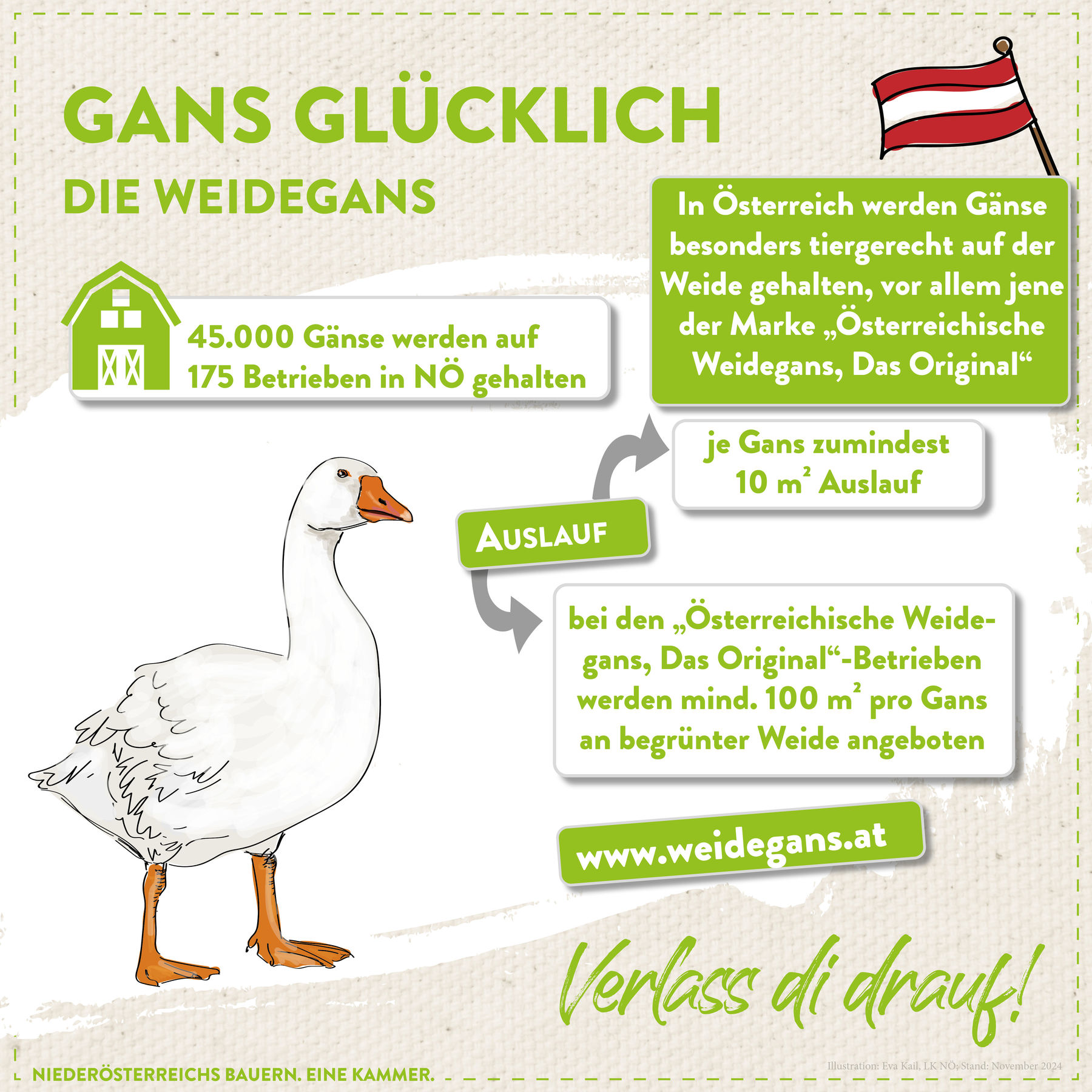 Grafik-2024-Gans Quadrat.jpg © LK Niederösterreich Grafik-2024-Gans Quadrat.jpg © LK Niederösterreich