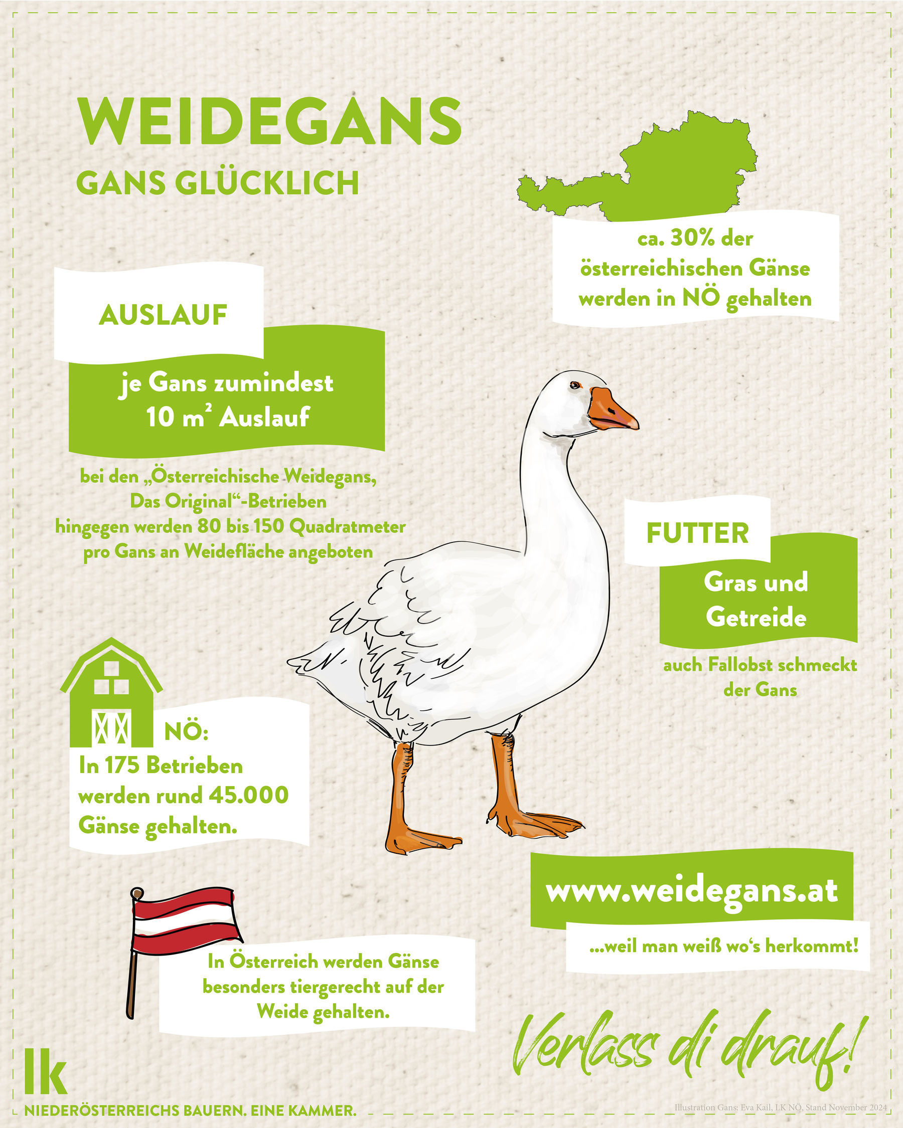 Grafiken_2024-Gans.jpg © LK Niederösterreich Grafiken_2024-Gans.jpg © LK Niederösterreich