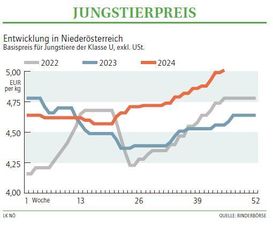 Grafik Stierpreis 45 2024.jpg