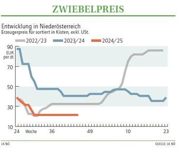 Grafik Zwiebelpreis 45_2024.jpg © LK NÖ Grafik Zwiebelpreis 45_2024.jpg © LK NÖ