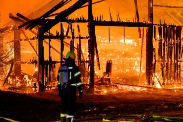 Brand.jpg © stock.adobe.com Brand.jpg © stock.adobe.com