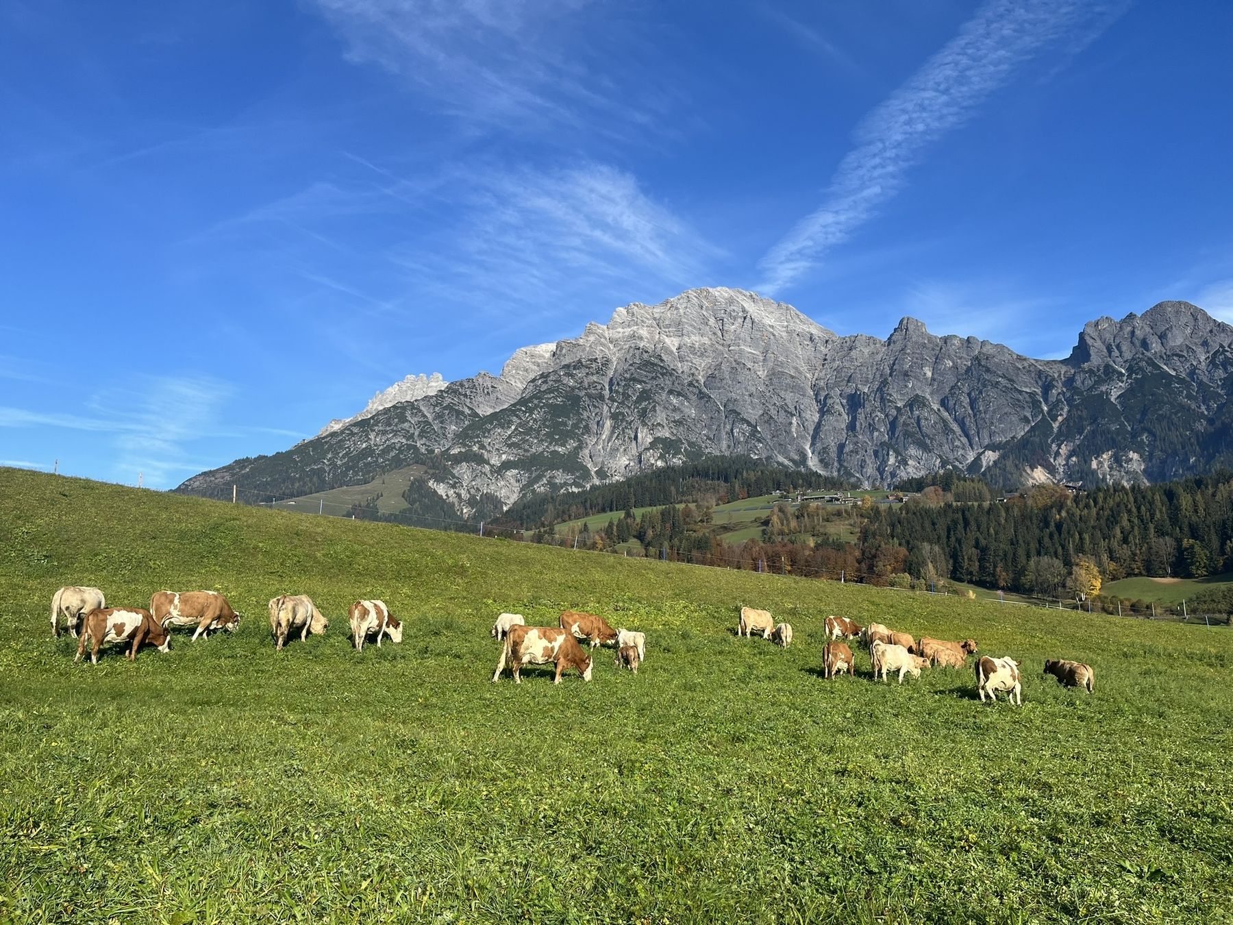 Landwirtschaft und Tourismus gehen Hand in Hand: Untergrundgut in Leogang.jpg