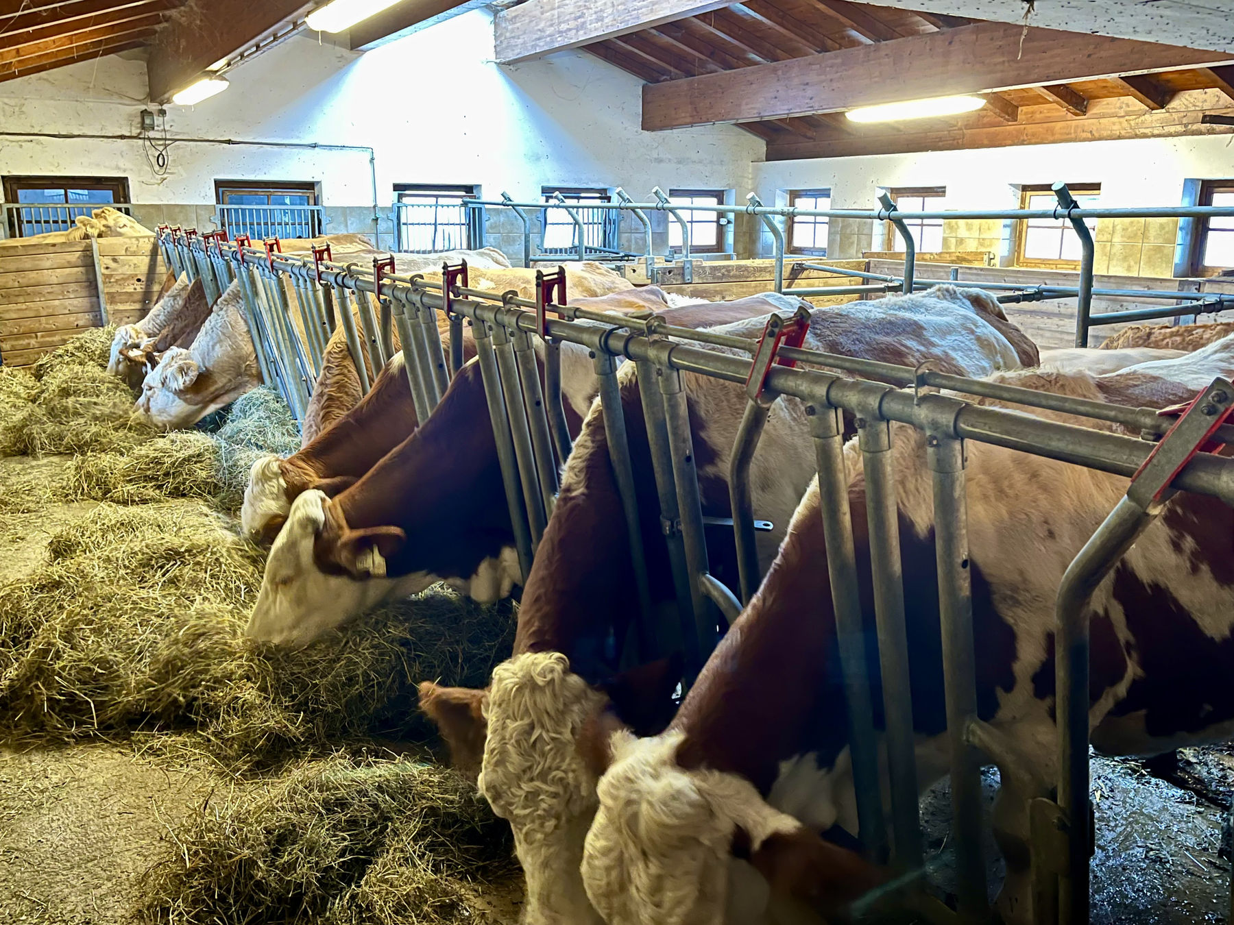 Landwirtschaft und Tourismus gehen Hand in Hand: Untergrundgut in Leogang.jpg © Privat