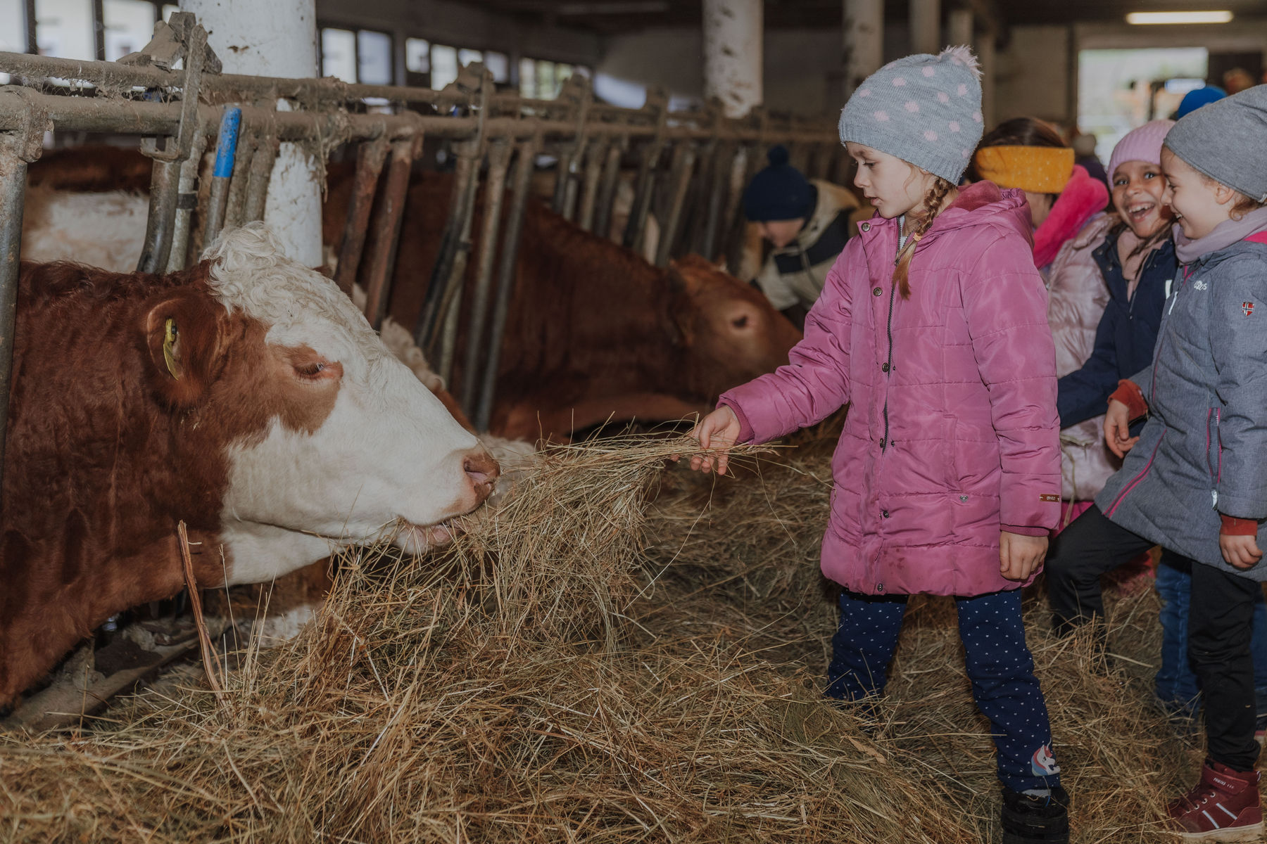 © Sophie Balber/LK Niederösterreich