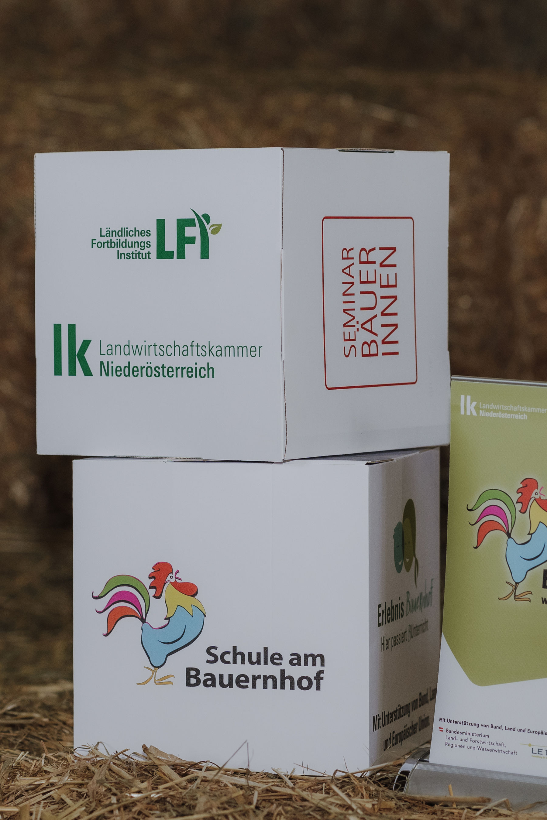 © Sophie Balber/LK Niederösterreich © Sophie Balber/LK Niederösterreich