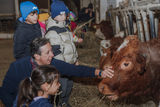 © Sophie Balber/LK Niederösterreich