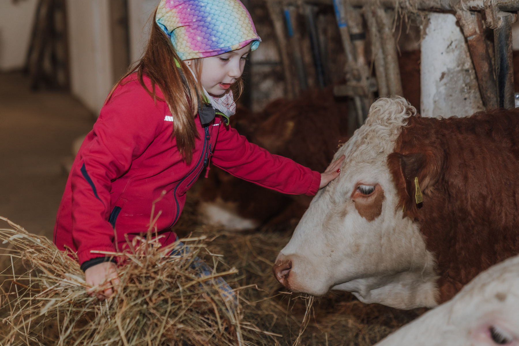 © Sophie Balber/LK Niederösterreich © Sophie Balber/LK Niederösterreich