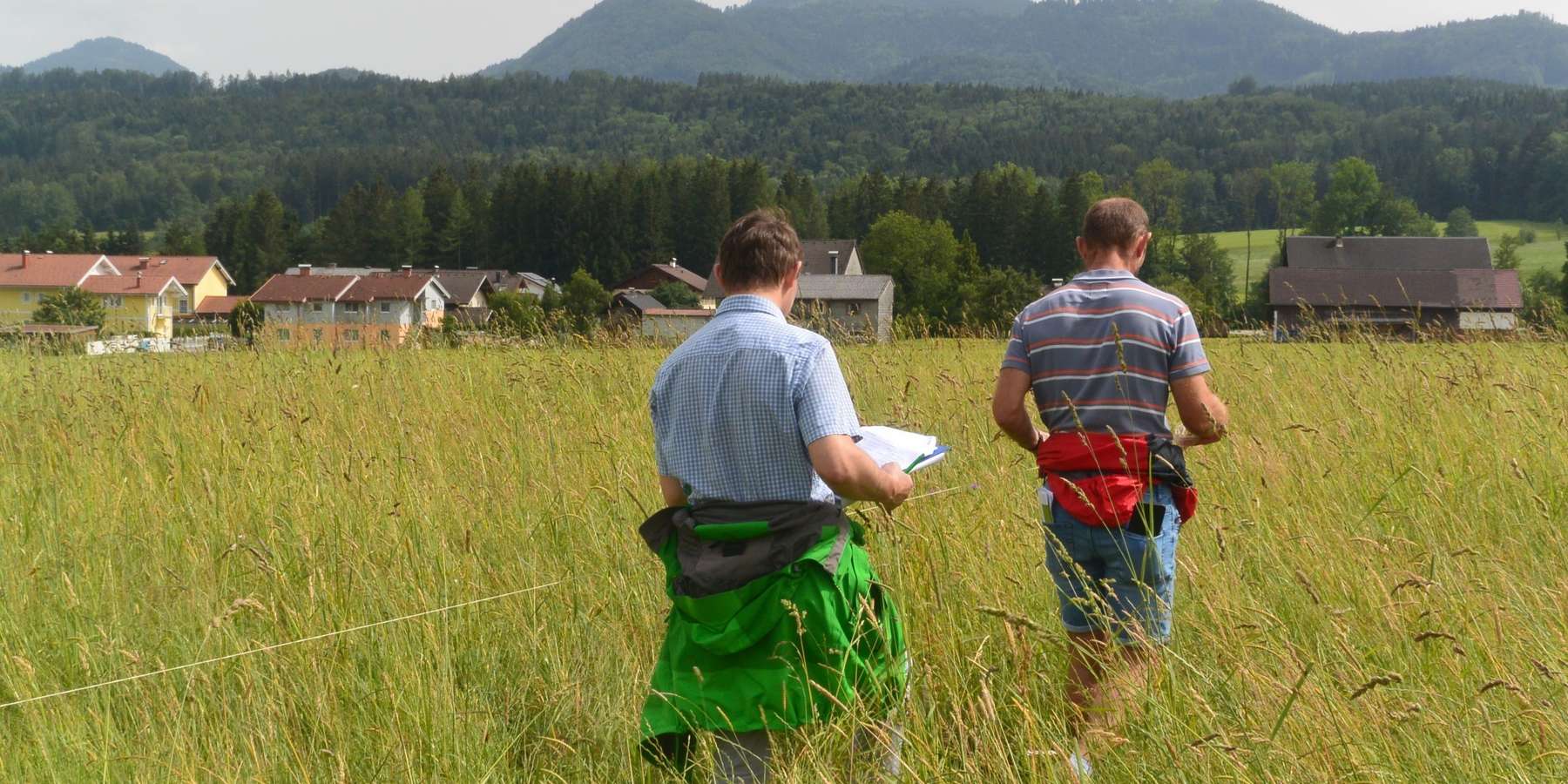 Biodiversitätsmonitoring.jpg