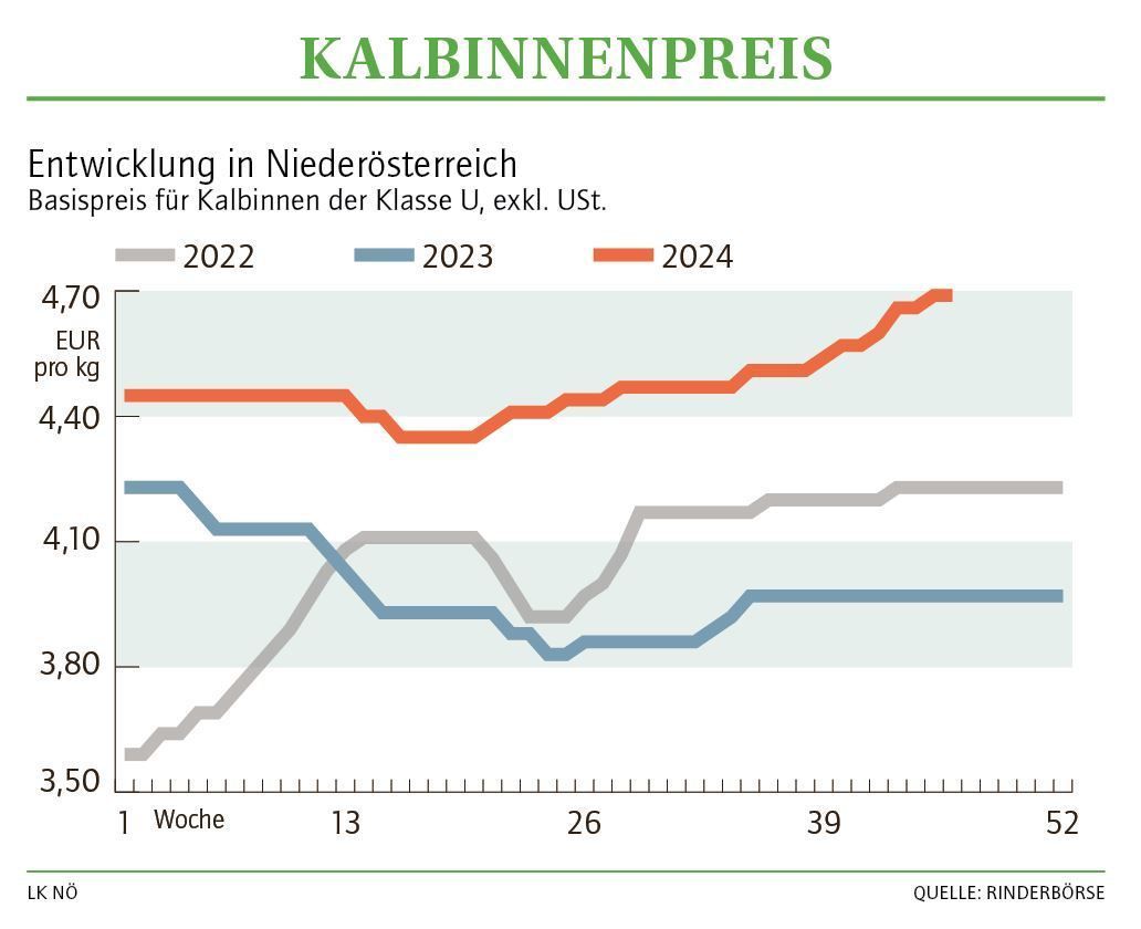 Grafik Kalbinnenpreis 46_2024.jpg © LK NÖ Grafik Kalbinnenpreis 46_2024.jpg © LK NÖ