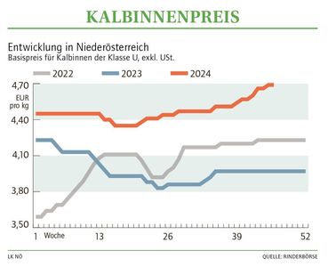 Grafik Kalbinnenpreis 46_2024.jpg © LK NÖ Grafik Kalbinnenpreis 46_2024.jpg © LK NÖ