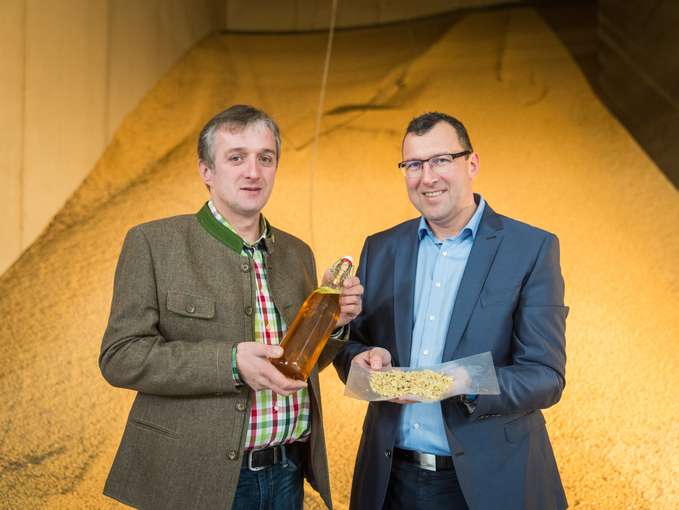 Vifzack 2025 © Alexander Danner