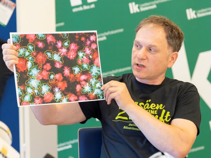 Vifzack 2025 © Alexander Danner