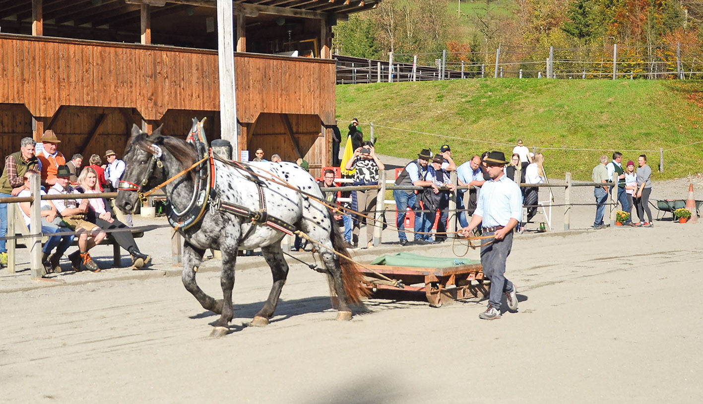 Leistungsprüfung.jpg © Archiv Leistungsprüfung.jpg © Archiv