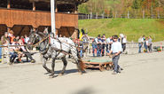 Leistungsprüfung.jpg © Archiv Leistungsprüfung.jpg © Archiv