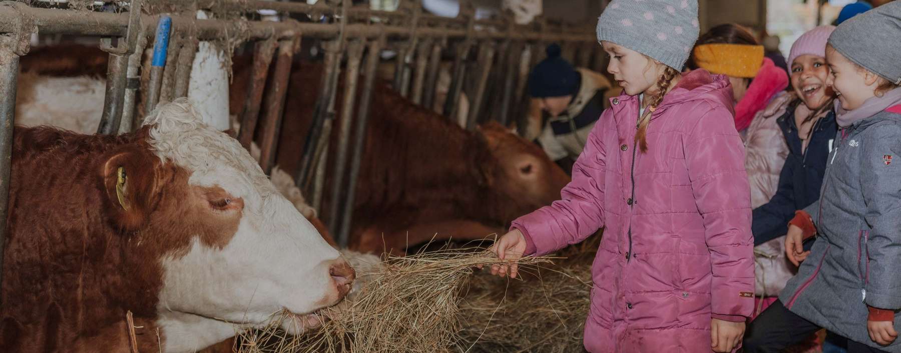 Schule am Bauernhof.jpg © Sophie Balber/LK Niederösterreich
