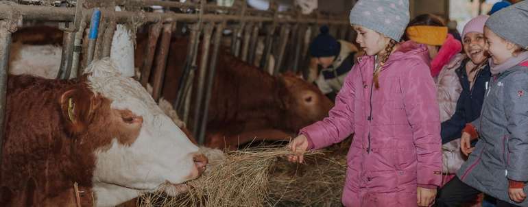 Schule am Bauernhof.jpg © Sophie Balber/LK Niederösterreich
