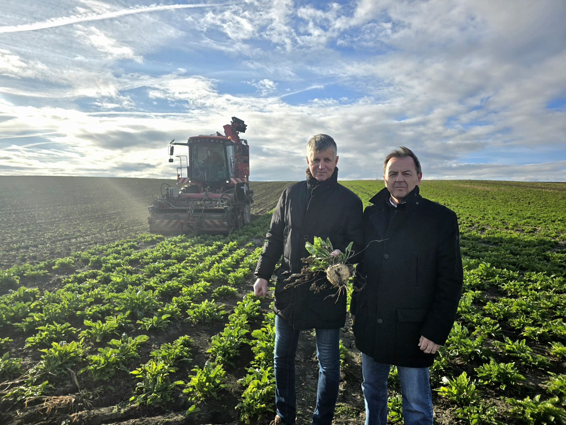 Zwischenbilanz der Zuckerrübenernte im Burgenland.jpg © LKBgld_Tesch-Wessely