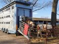 Tiertransport 5 © RZA