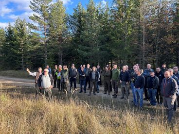 1 (c) DI Bellos.jpg © DI Bellos 1 (c) DI Bellos.jpg © DI Bellos