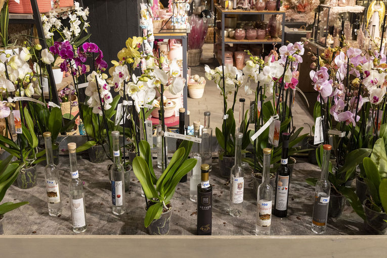 © Die Fotografen © Die Fotografen