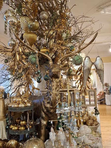 Adventausflug 2024 (5).jpg Adventausflug 2024 (5).jpg