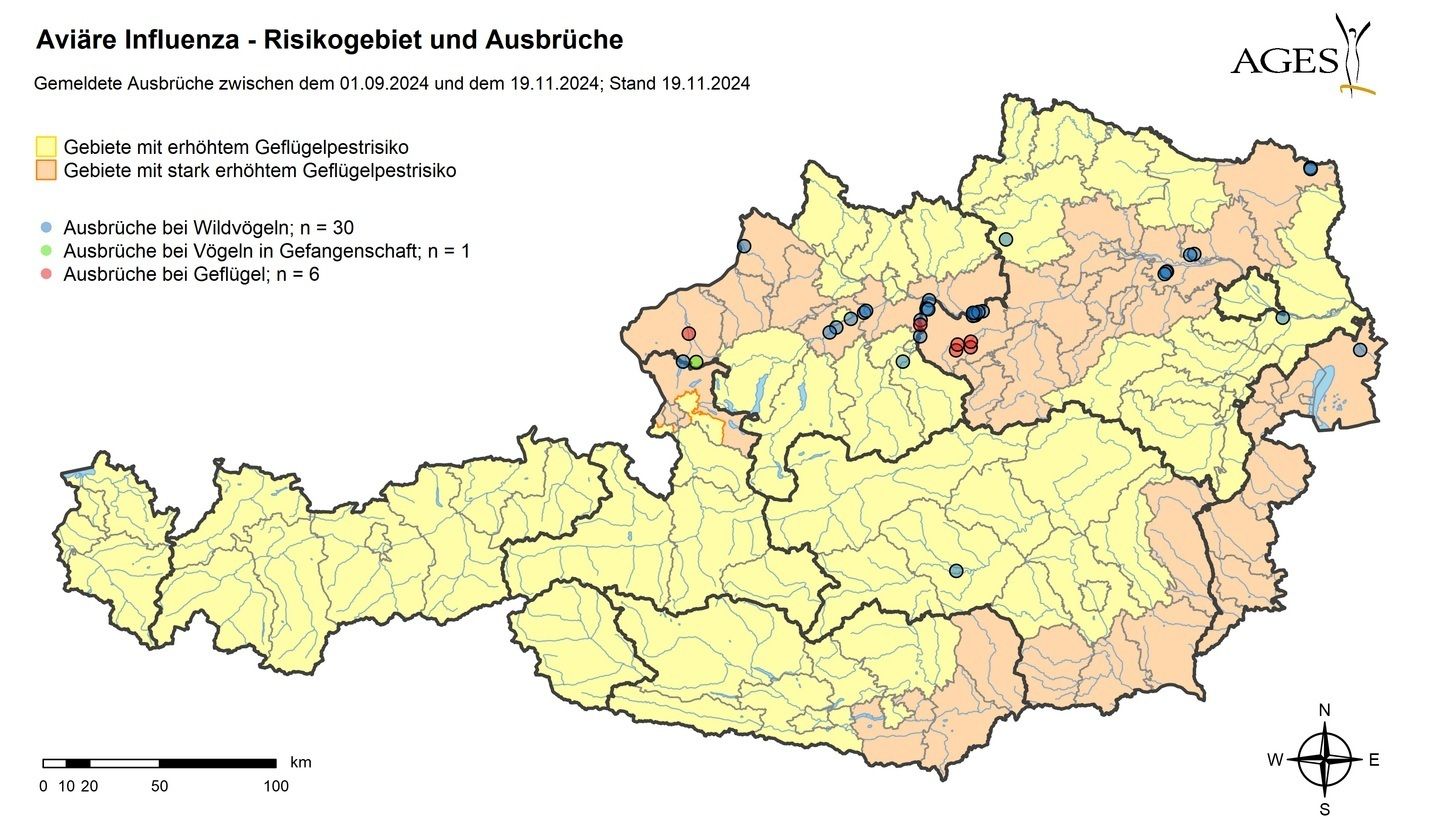 Geflügelpest Risikogebiete und Ausbrüche 19 11 2024.jpg