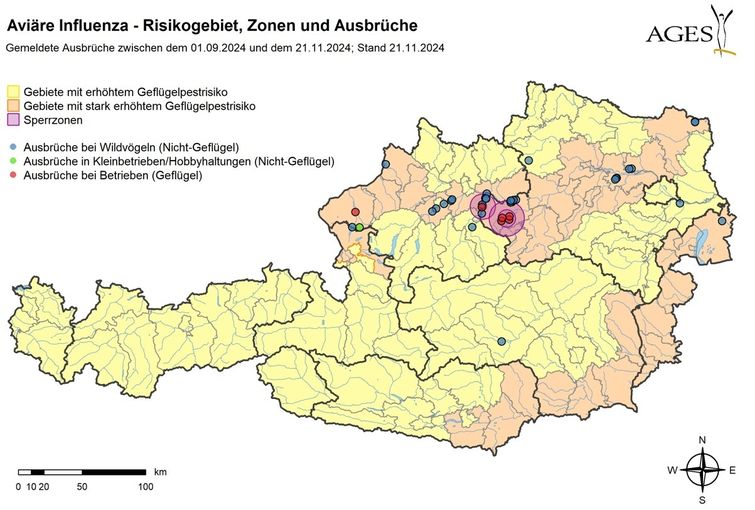 Geflügelpest Risikogebiete Zonen und Ausbrüche 21 11 2024.jpg